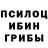 Галлюциногенные грибы GOLDEN TEACHER KeigoSki