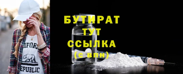 индика Костерёво