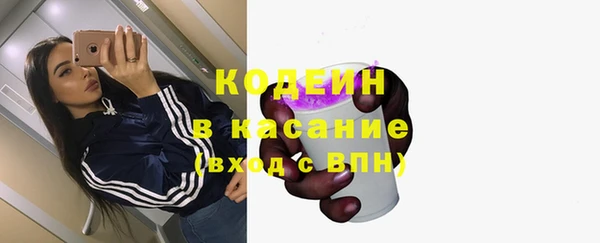 индика Костерёво