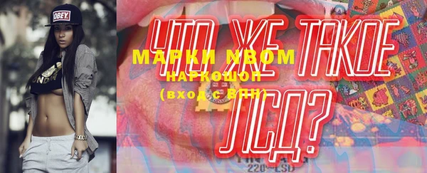 ГАЛЛЮЦИНОГЕННЫЕ ГРИБЫ Козловка