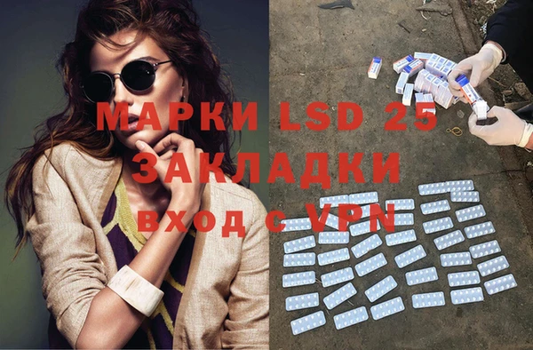 ГАЛЛЮЦИНОГЕННЫЕ ГРИБЫ Козловка