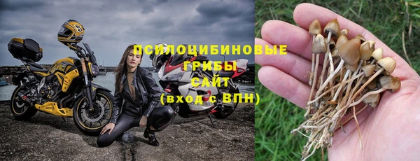 молекула духа Киренск