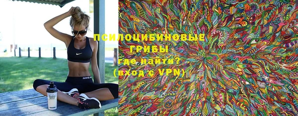 ГАЛЛЮЦИНОГЕННЫЕ ГРИБЫ Козловка