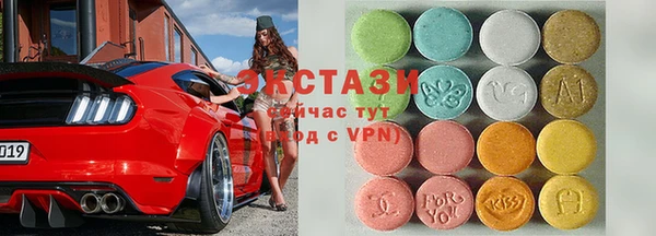 индика Костерёво