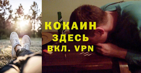 ГАЛЛЮЦИНОГЕННЫЕ ГРИБЫ Козловка