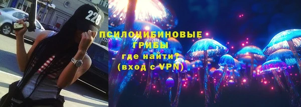 бошки Корсаков