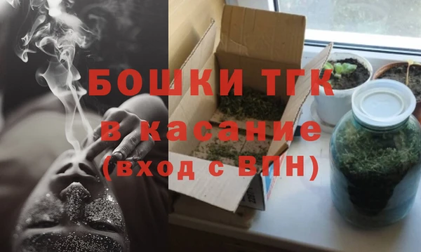 индика Костерёво