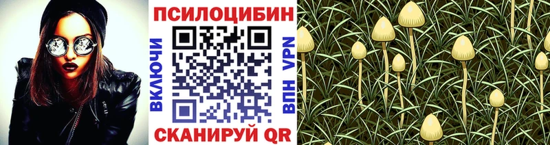 Псилоцибиновые грибы прущие грибы  Саки 